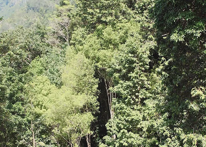 Sthanatapa Hill's * サイドメン