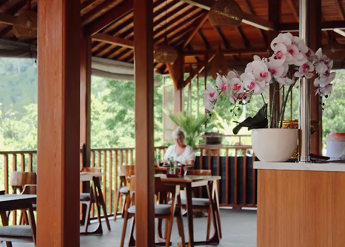 Sthanatapa Hill's サイドメン