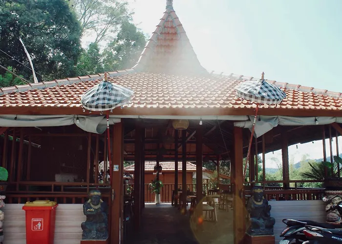 Sthanatapa Hill's * サイドメン